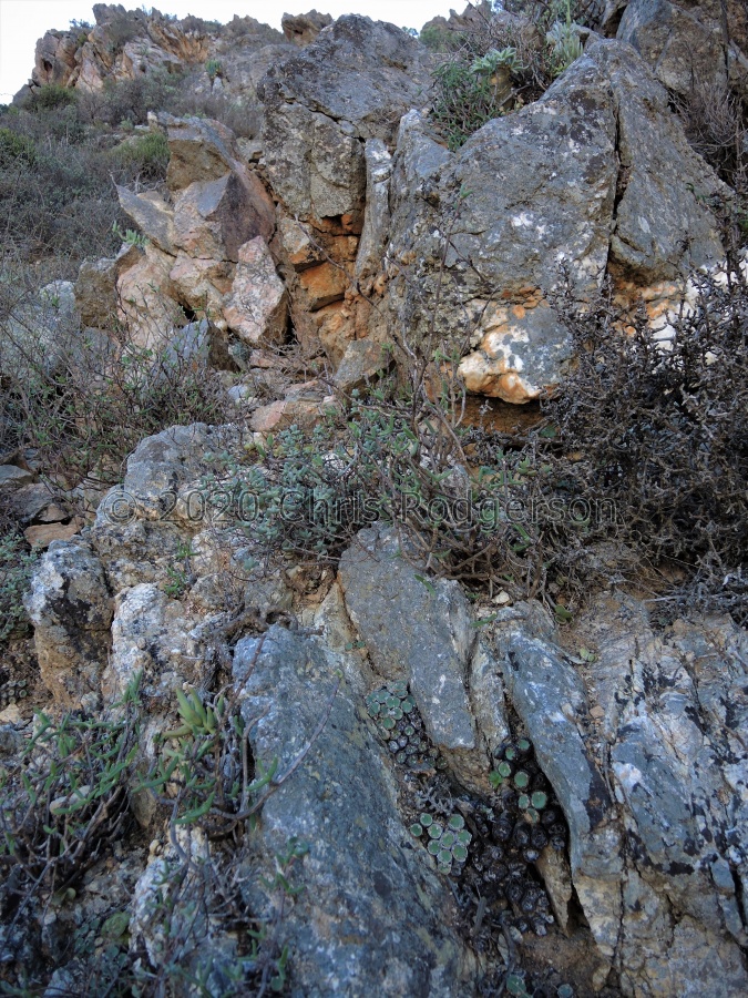 crateriforme S Eksteenfontein.JPG