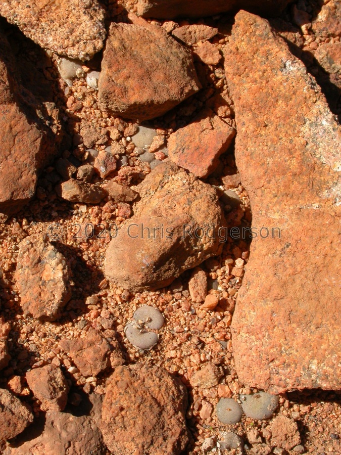 depressum S Paulshoek.jpg