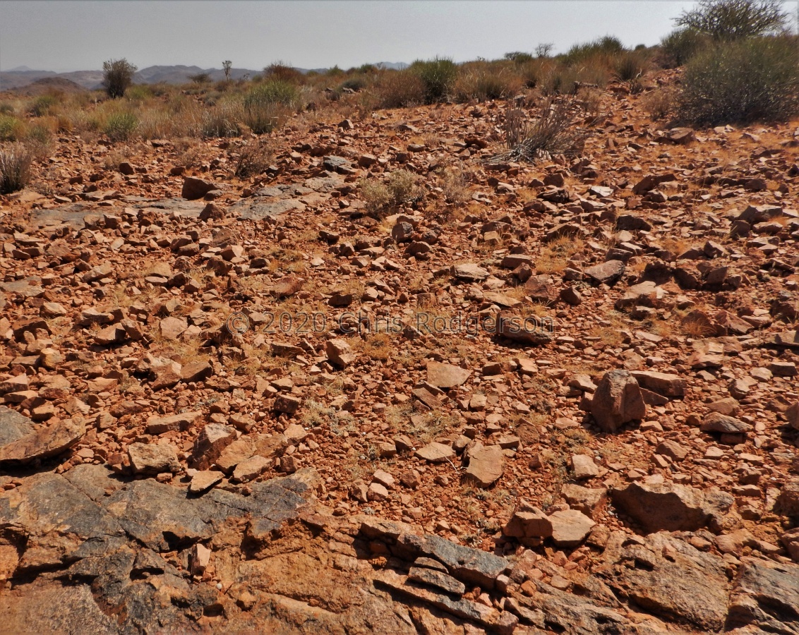 praesectum NE Pofadder.JPG