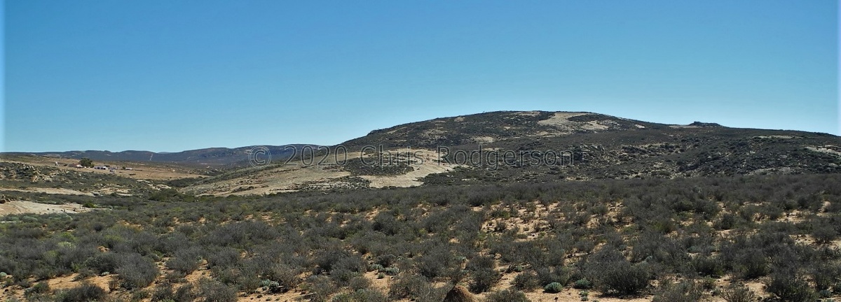 Namaqualand granite dome.JPG