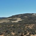 Namaqualand granite dome