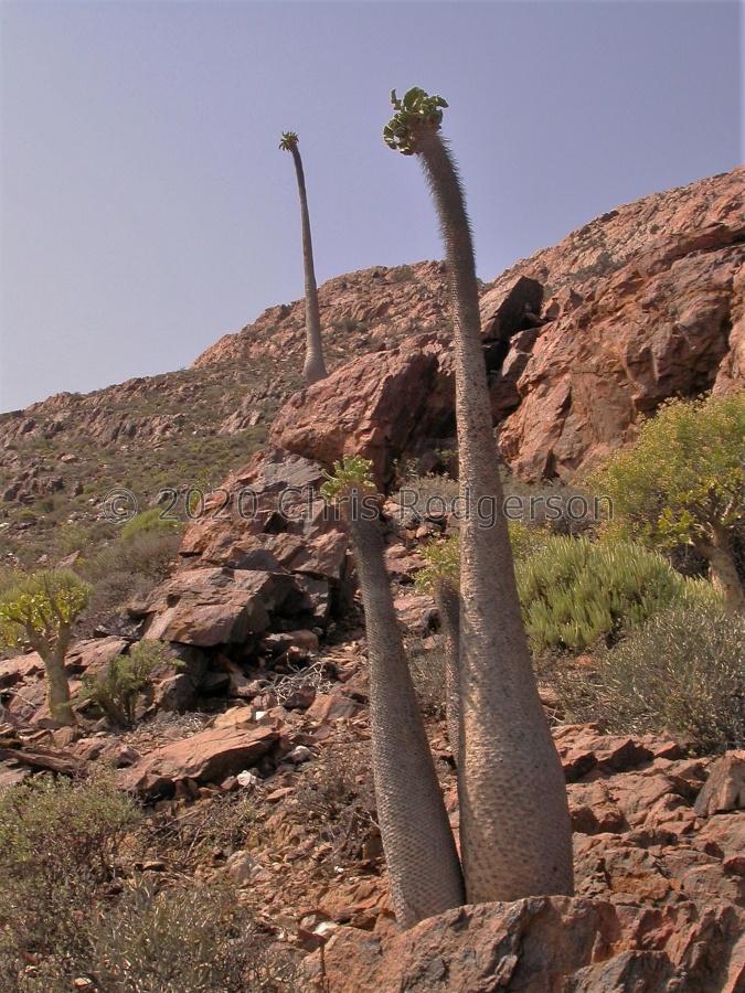 N Eksteenfontein.JPG