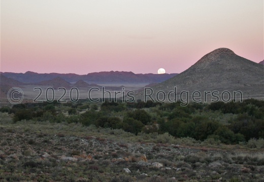 moon rising over Namaqualand