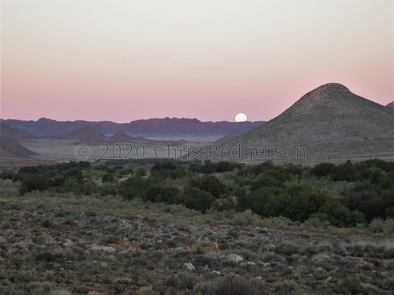 moon rising over Namaqualand.JPG