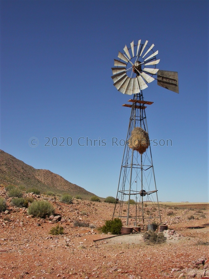wind driven fountain water pump with weaver bird nest.JPG