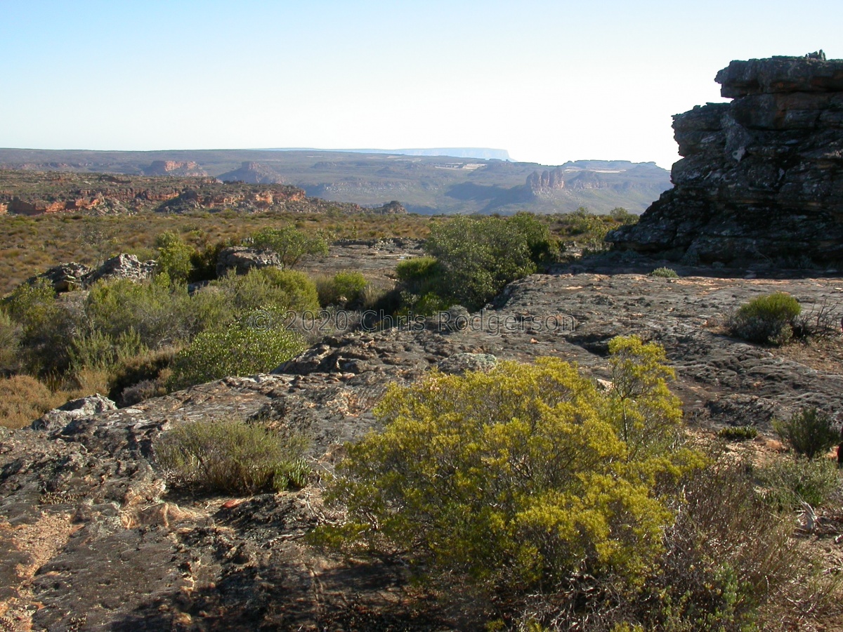 the high Koebeeberg.jpg