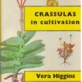 V.Higgins Crassula