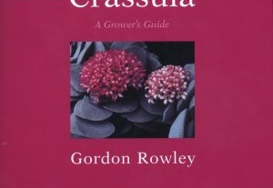 G.D.Rowley Crassula