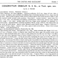 orbicum description