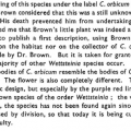 orbicum description discussion